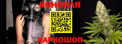 крисы Коммунар