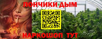 крисы Коммунар