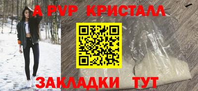 крисы Коммунар