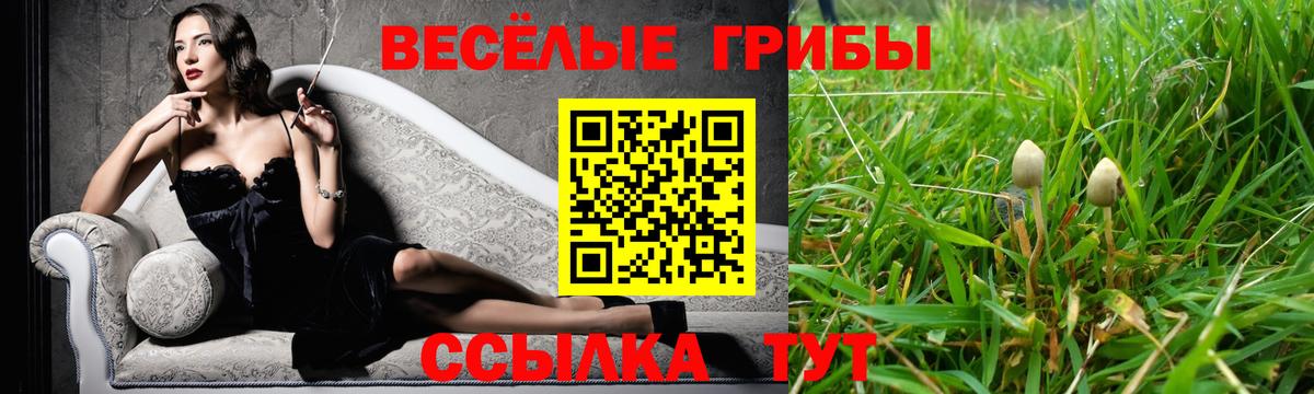 Псилоцибиновые грибы Cubensis  где продают   Котельники  Вход с VPN  Галлюциногенные грибы GOLDEN TEACHER 